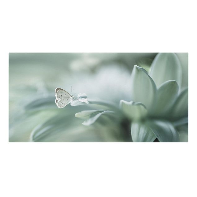 Leinwandbild - Schmetterling und Tautropfen in Pastellgrün - Querformat 1:2