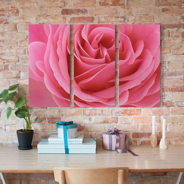 Leinwandbilder Blumen Lustful Pink Rose