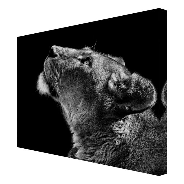 Leinwandbild - Portrait einer Löwin - Querformat 3:4