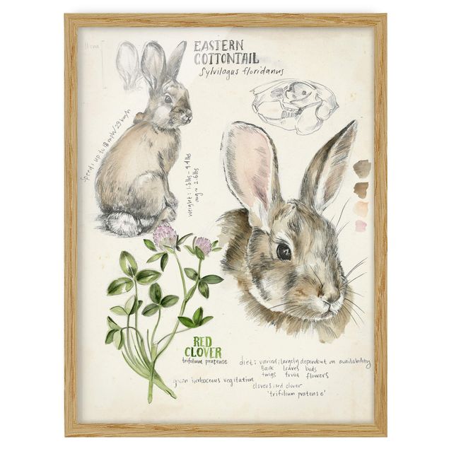 schöne Bilder Wildnis Journal - Kaninchen