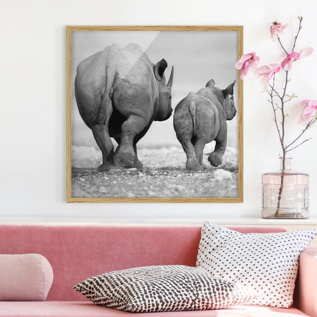 Moderne Bilder mit Rahmen Wandering Rhinos II