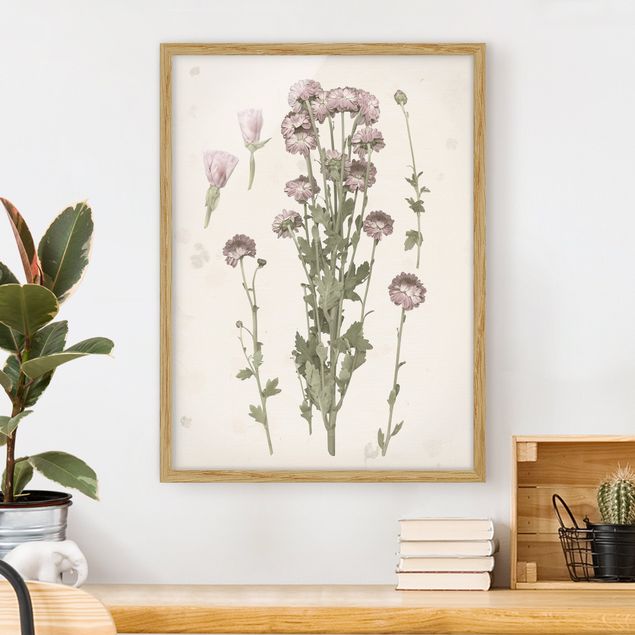 Moderne Bilder mit Rahmen Herbarium in rosa I