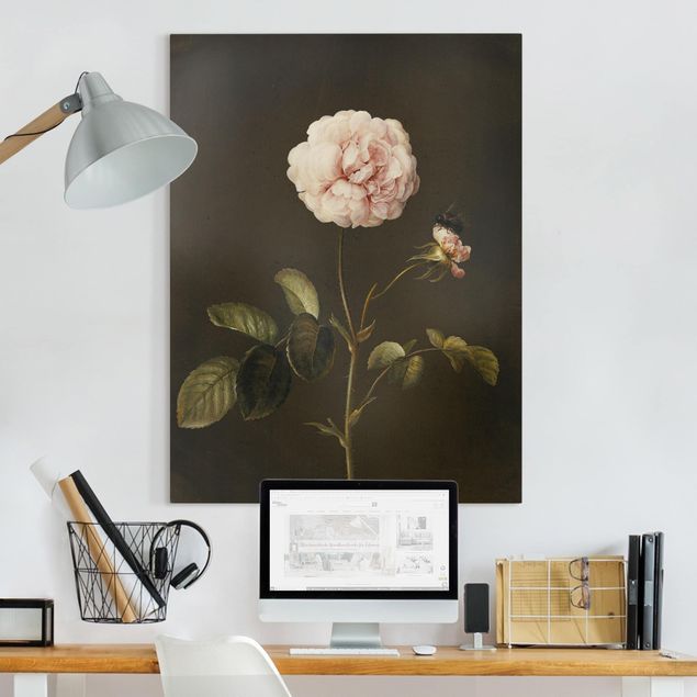 Blumenbilder auf Leinwand Barbara Regina Dietzsch - Essig-Rose mit Hummel