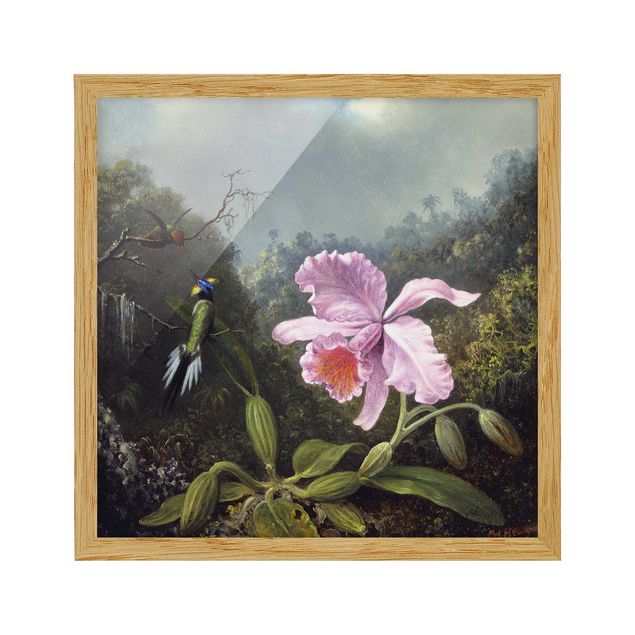 Bilder Martin Johnson Heade - Stillleben mit Orchidee und zwei Kolibris