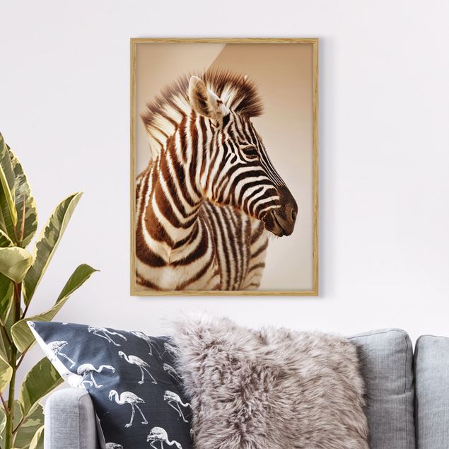 Moderne Bilder mit Rahmen Zebra Baby Portrait