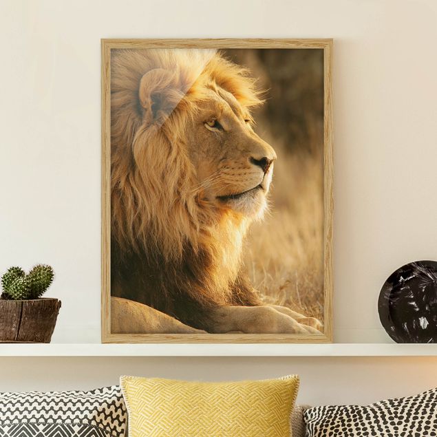 Moderne Bilder mit Rahmen Löwenkönig