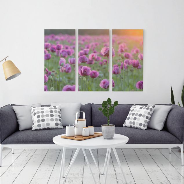 Wandbilder Violette Schlafmohn Blumenwiese im Frühling