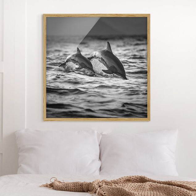 Moderne Bilder mit Rahmen Zwei springende Delfine