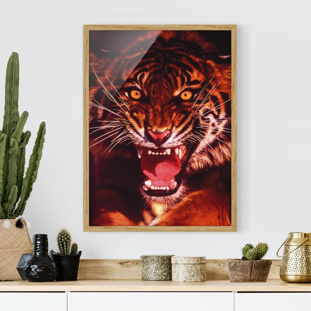Moderne Bilder mit Rahmen Wilder Tiger