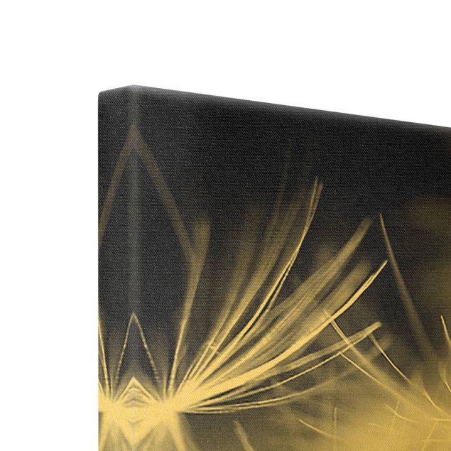Leinwandbild Gold - Bewegte Pusteblumen Nahaufnahme auf schwarzem Hintergrund - Querformat 1:2