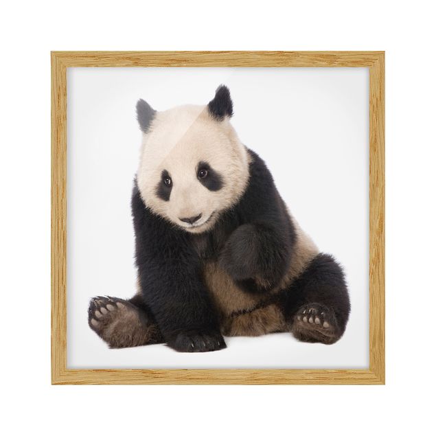 Bilder mit Rahmen Panda Tatzen