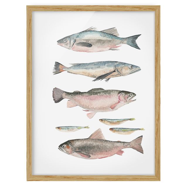 Wandbilder Sieben Fische in Aquarell I