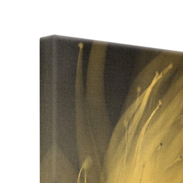 Leinwandbild Gold - Blütenstaub Schwarz-Weiß - Quadrat 1:1
