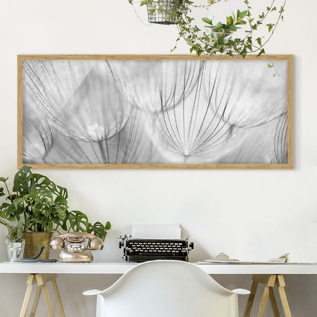 Moderne Bilder mit Rahmen Pusteblumen Makroaufnahme in schwarz weiß