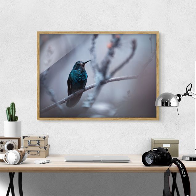 Natur Bilder mit Rahmen Kolibri im Winter