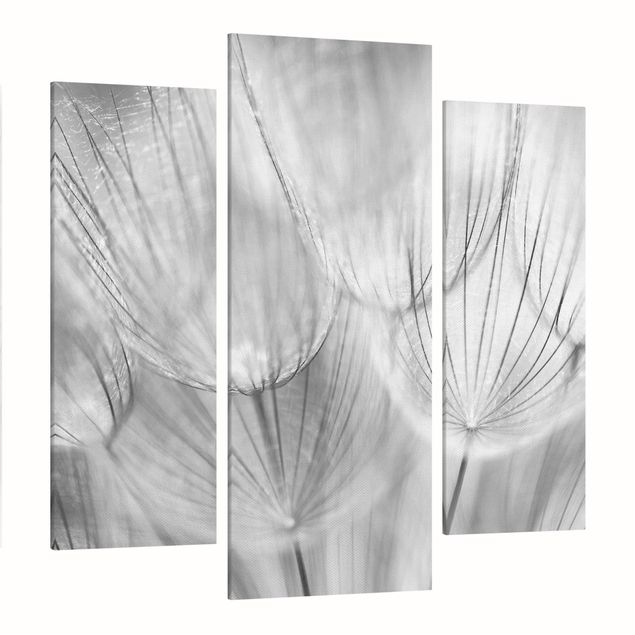 schöne Bilder Pusteblumen Makroaufnahme in schwarz weiß
