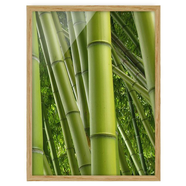 Wandbilder mit Rahmen Bamboo Trees No.2