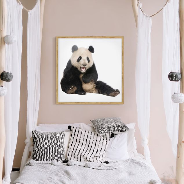 Tiere Bilder mit Rahmen Lachender Panda