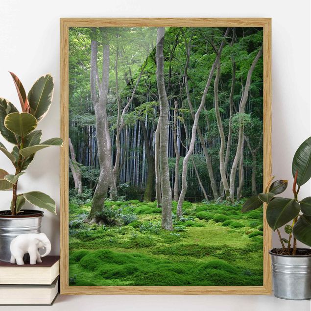 Moderne Bilder mit Rahmen Japanischer Wald
