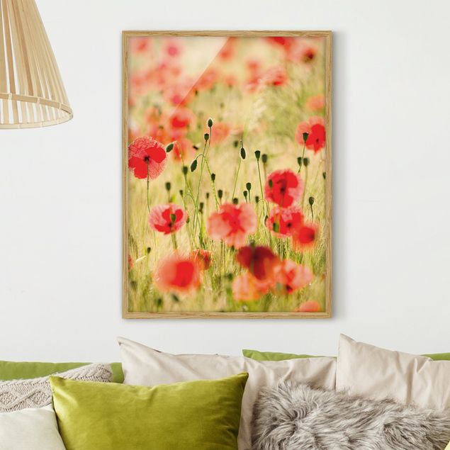Moderne Bilder mit Rahmen Summer Poppies