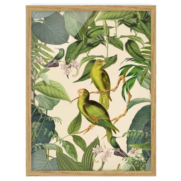 schöne Bilder Vintage Collage - Papageien im Dschungel