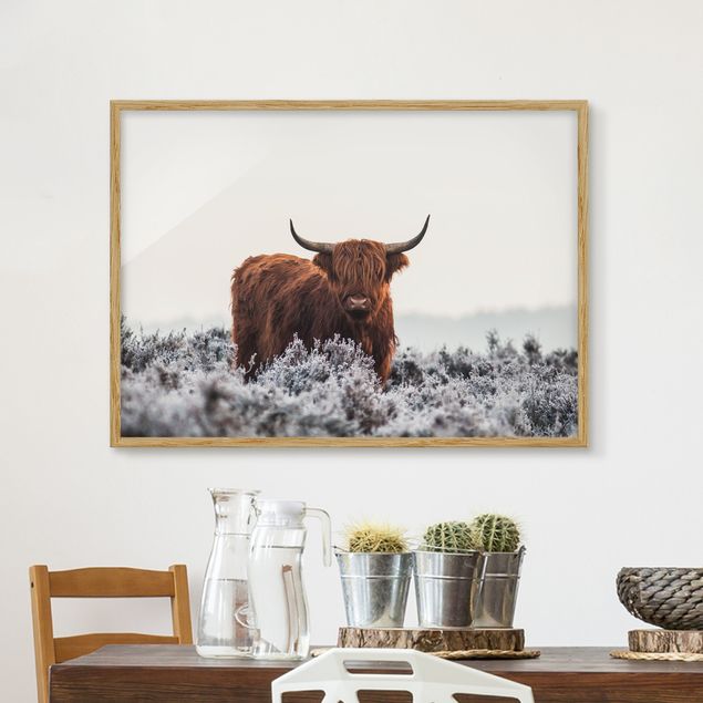 Moderne Bilder mit Rahmen Bison in den Highlands