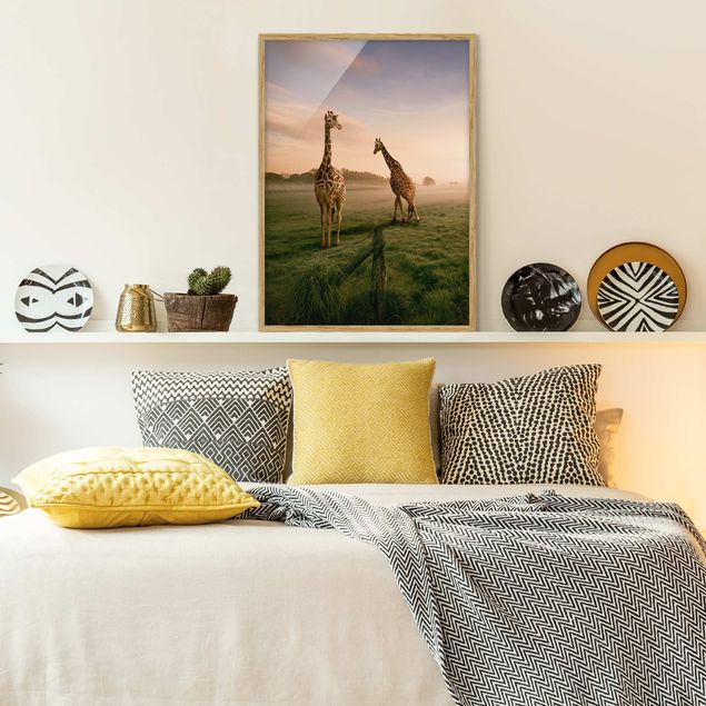 Tiere Bilder mit Rahmen Surreal Giraffes
