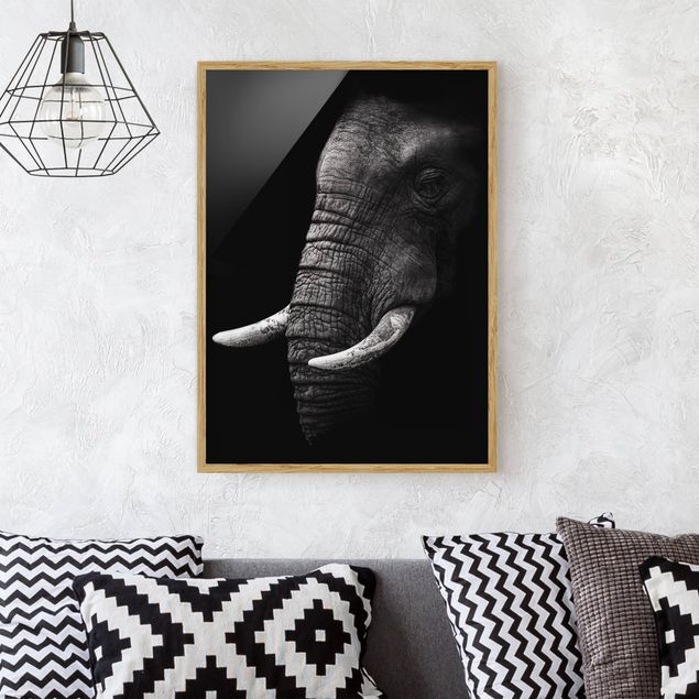 Moderne Bilder mit Rahmen Dunkles Elefanten Portrait