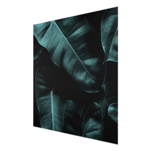 Glasbild - Dschungel Blätter Dunkelgrün - Quadrat 1:1