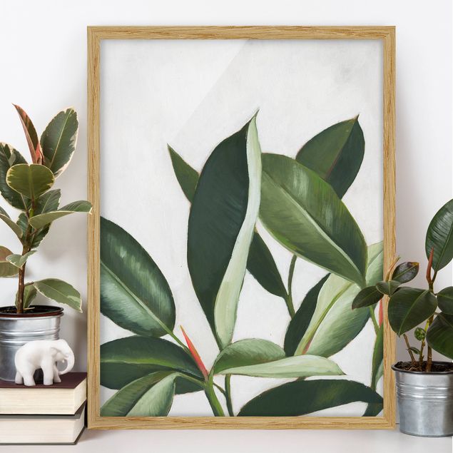 Moderne Bilder mit Rahmen Lieblingspflanzen - Gummibaum