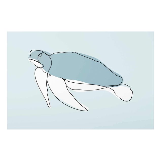 Glasbild - Schildkröte Line Art - Querformat 2:3