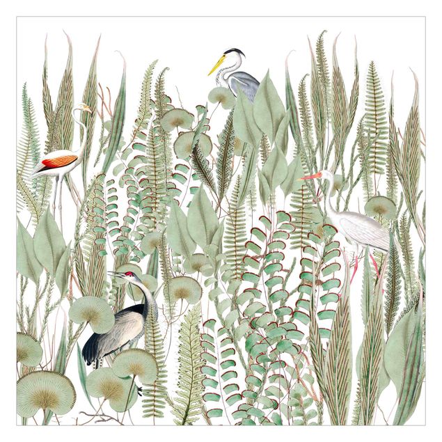 Design Tapeten Flamingo und Storch mit Pflanzen