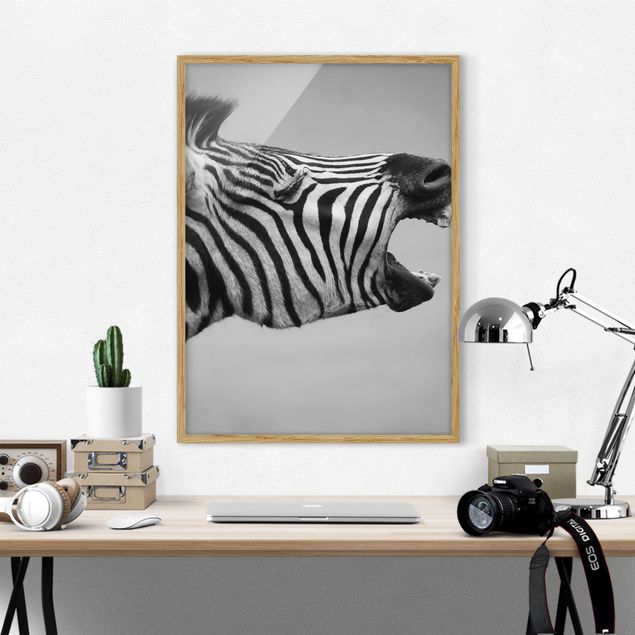 Moderne Bilder mit Rahmen Brüllendes Zebra II