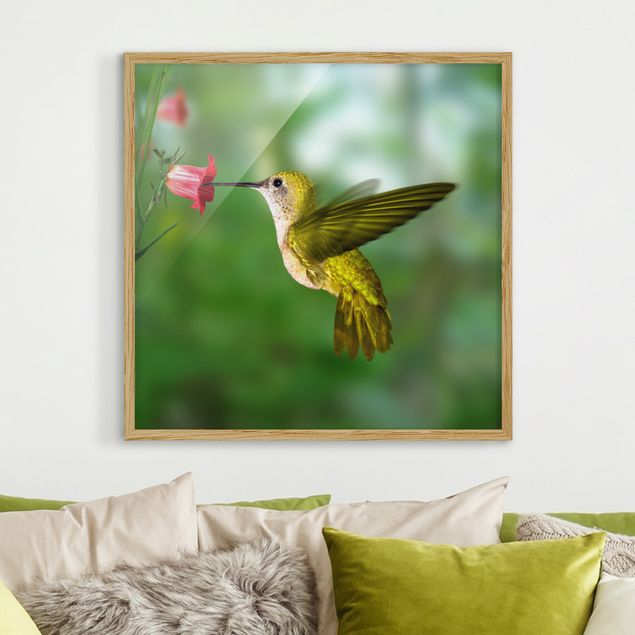 Moderne Bilder mit Rahmen Kolibri und Blüte