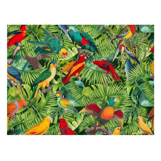 Leinwandbilder kaufen Bunte Collage - Papageien im Dschungel