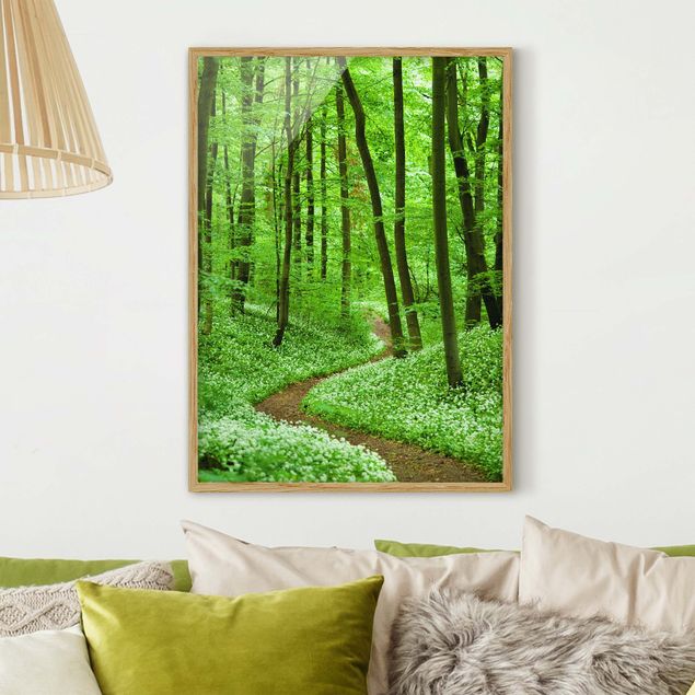Moderne Bilder mit Rahmen Romantischer Waldweg