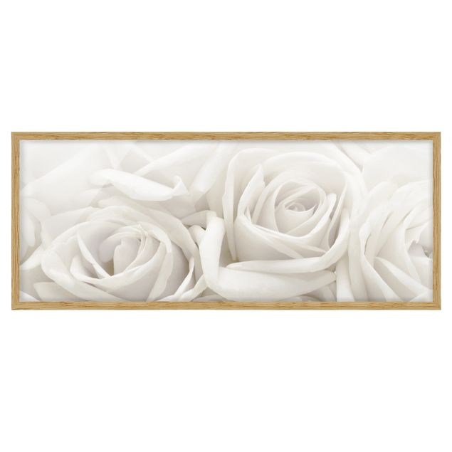 Wandbilder mit Rahmen Weiße Rosen