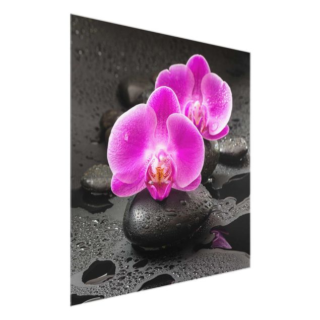 Glasbilder Pinke Orchideenblüten auf Steinen mit Tropfen