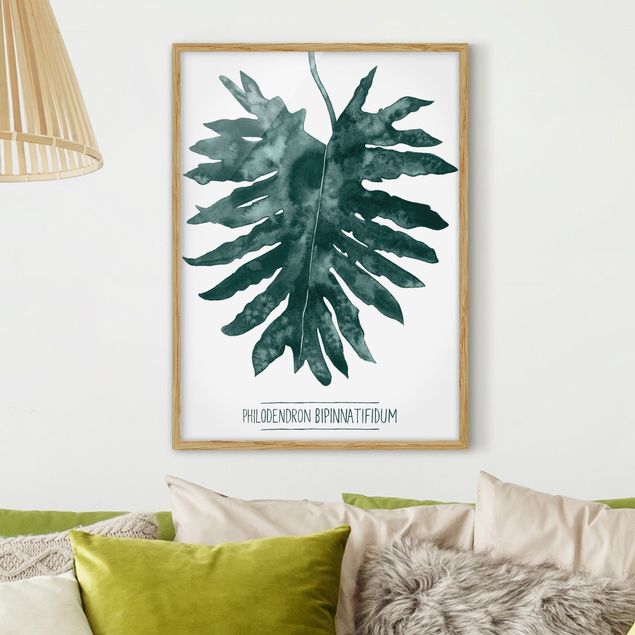 Moderne Bilder mit Rahmen Smaragdgrüner Philodendron Bipinnatifidum
