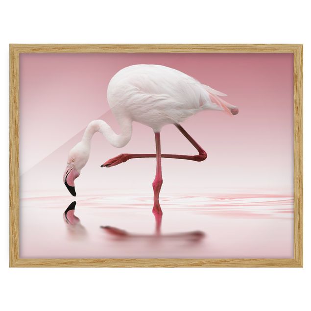 Wandbilder mit Rahmen Flamingo Dance