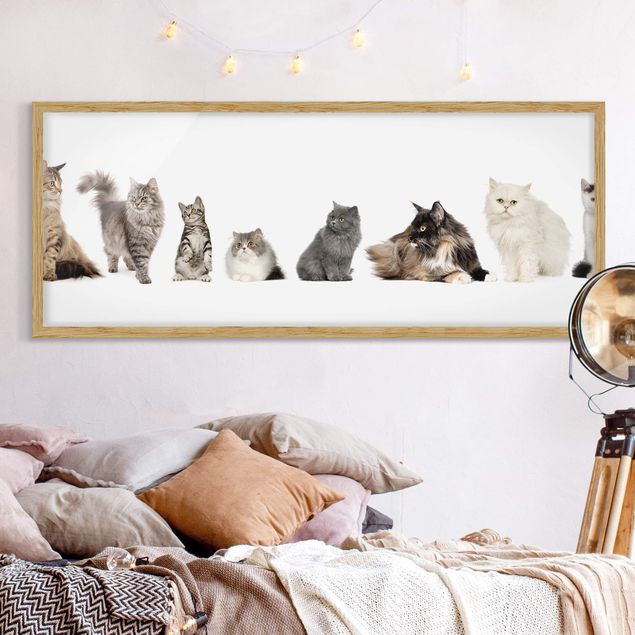 Moderne Bilder mit Rahmen Katzenbande