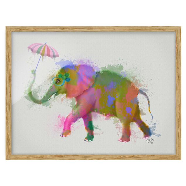 gerahmte Bilder Regenbogen Splash Elefant