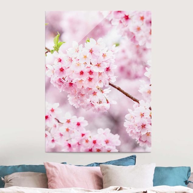 Glas Wandbilder XXL Japanische Kirschblüten