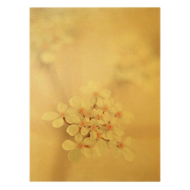 Leinwandbild Gold - Miniblüten im Rosanen Licht - Hochformat 3:4