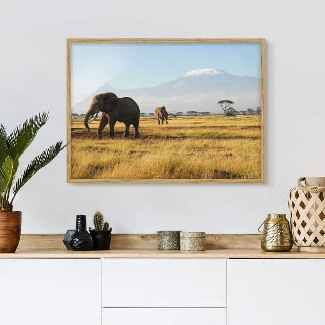 Natur Bilder mit Rahmen Elefanten vor dem Kilimanjaro in Kenia