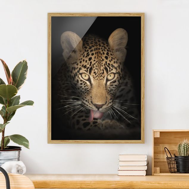Tiere Bilder mit Rahmen Resting Leopard
