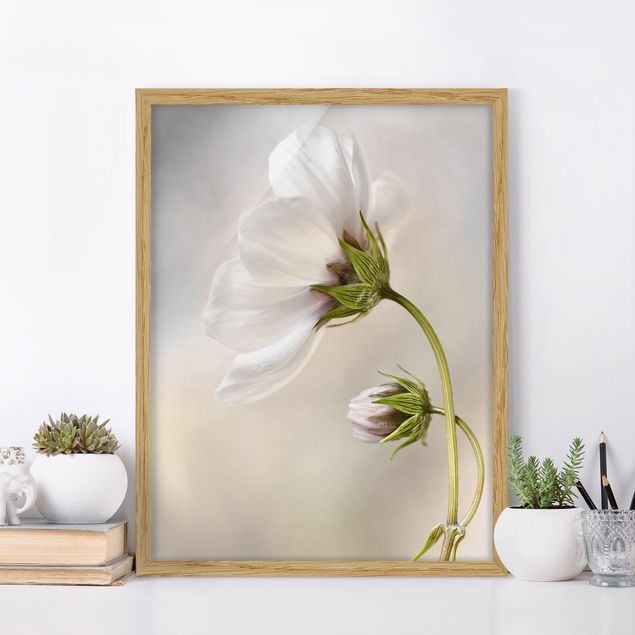 Moderne Bilder mit Rahmen Himmlischer Blütentraum