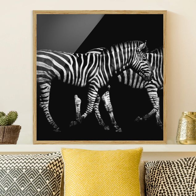 Moderne Bilder mit Rahmen Zebra vor Schwarz