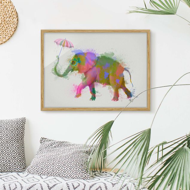 Tiere Bilder mit Rahmen Regenbogen Splash Elefant
