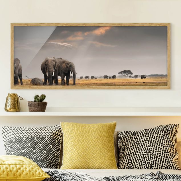 Tiere Bilder mit Rahmen Elefanten der Savanne